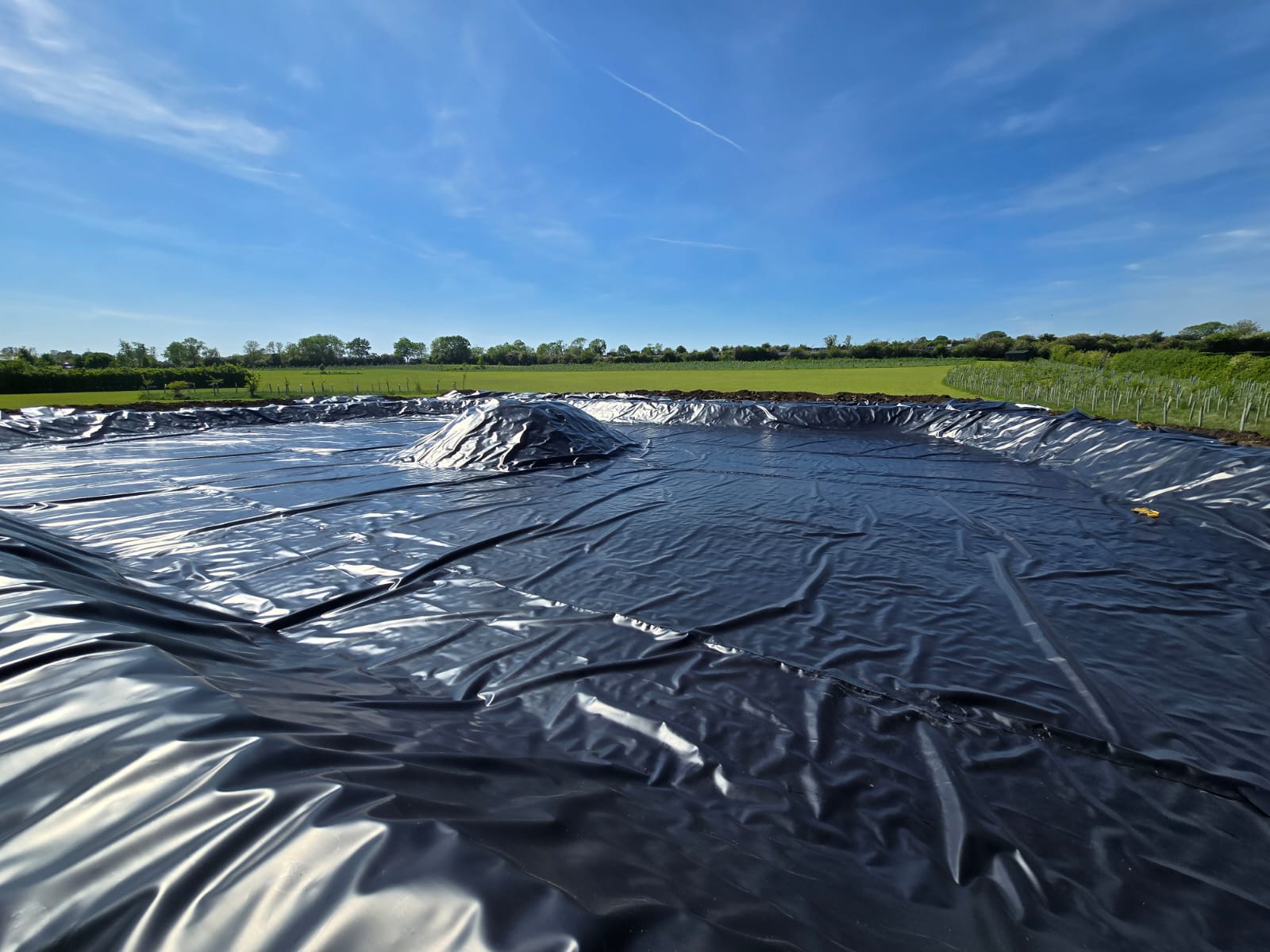 SuDS- Ponds/ Swales